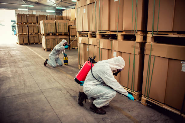 Best Pest Control Near Me  in Ives Estates, FL