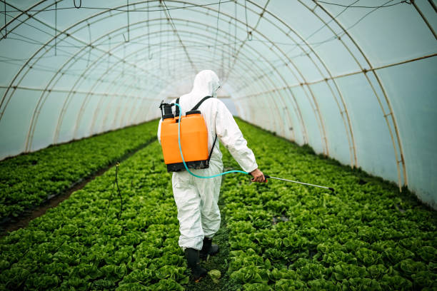 Best Commercial Pest Control Services  in Ives Estates, FL