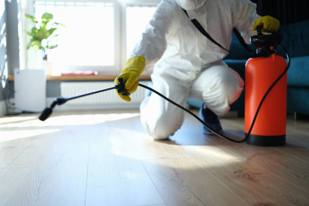 Best Best Pest Control Companies  in Ives Estates, FL