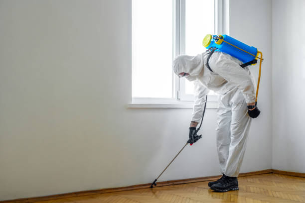 Wasp Removal Services in Ives Estates, FL