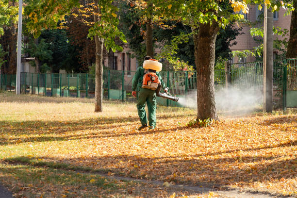Best Best Pest Control Companies  in Ives Estates, FL